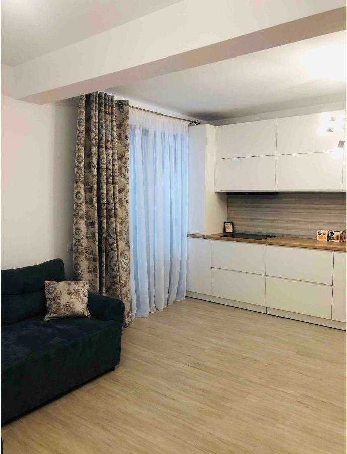 Luxury Apartment